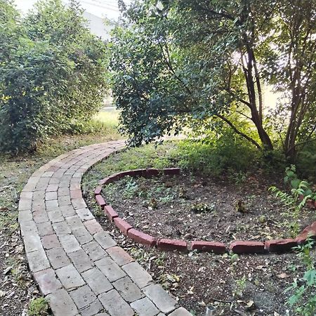 Garden In The Center Daire Split Dış mekan fotoğraf