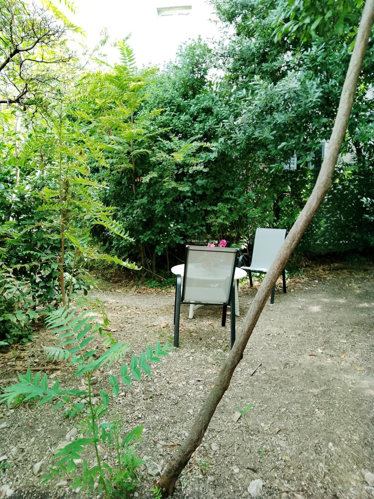 Garden In The Center Daire Split Dış mekan fotoğraf